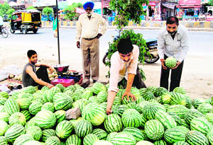 Along with the temperature, the demand for watermelons is also rising in Amritsar.