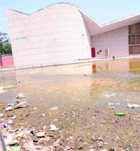 Garbage littered around Gandhi Bhavan at Panjab University, Chandigarh.