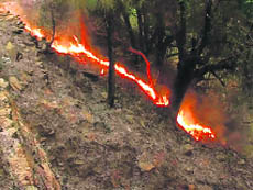 A forest fire in Pithoragarh district.