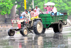 Bringing much-needed respite from the scorching heat, heavy showers lashed Chandigarh and surrounding areas on Friday morning. The sudden rain also caught office-goers and workers unawares