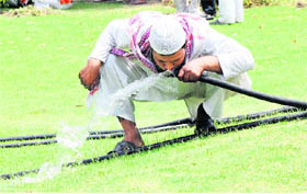 A man quenches his thirst from a water pipe on a hot afternoon at the Mini Secretariat in Karnal
