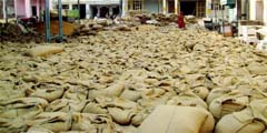 A view of one of the grain markets in Bathinda.