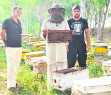 A beekeeper shows beehive in Nakodar