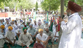 Activists of different farmer and labourer organisations sitting on a dharna in front of the SDM office at Rampura Phul on Friday