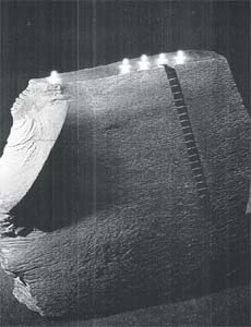 A sculpture by Avtarjeet Dhanjal