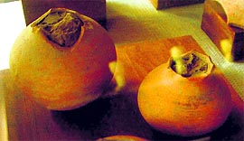 Harappan relics