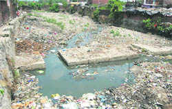 The garbage in the Risapna riverbed that emits foul smell in the adjoining areas in Rispana Ward No.10 in Dehradun. 