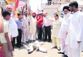 Activists of the BJP and the BJYM burn an effigy of the UPA government at Sirsa on Sunday