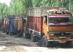 Trucks loaded with tomatoes from Haryana and Rajasthan wait for their turn at the agro juice plant near Abohar.
