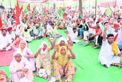 Members of various farmer and other organisations hold stage a dharna outside the mini-secretariat in Bathinda