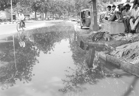 The stink Sewage water accumulated on a road due to a blocked drain near Phase II at Mohali. 