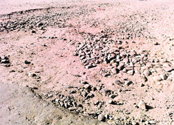 The Sahnewal-Kohara road in a bad shape
