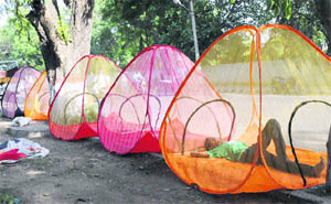 A vendor selling mosquito nets takes a nap on a hot afternoon along the Mall Road in Karnal.