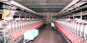 The capital subsidy scheme was announced by the state government in its industrial policy in 1993