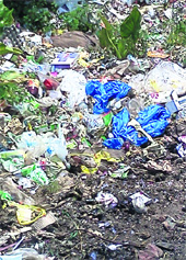 Heaps of polythene in a garbage dump at Aima on the Palampur-Dharamsala highway