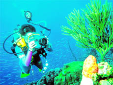 Scuba-diving in the Caribbean