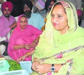 Surinder Kaur performing seva at the langar hall of the Golden Temple in Amritsar