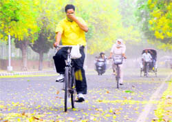 A cyclist finds it hard to pedal during a dust storm in Chandigarh on Wednesday
