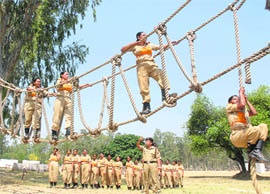 Recruited on compassionate grounds, these appointees have taken the BSF challenge with grit.