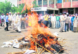 Activists of the Indian Bahujan Sandesh Party burn effigies of MPs and MLAs at the mini-secretariat in Kurukshetra on Thursday. 