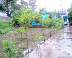 Flood water enters a house at Bhawarna near Palampur. 