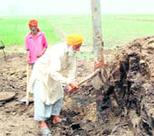 A farmer at work at Rodewala Khurd village near the Attari border. 