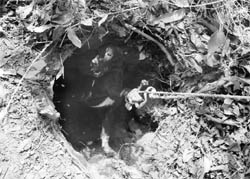 A stray dog being pulled out of a trench in Industrial Area, Phase IX, Mohali, on Sunday.