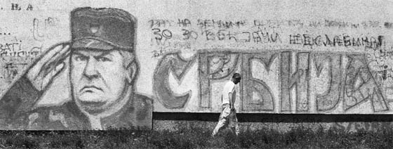 A man walks past graffiti of Bosnian Serb wartime general Ratko Mladic in a suburb of Belgrade. Bosnian Serb wartime general Ratko Mladic will face trial on genocide charges in The Hague following his arrest in Serbia after 15 years on the run. Photo: Reuters