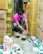 Getting ready for rodents A trap for rats being placed at a chemist shop in Ludhiana
