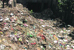 Heaps of garbage lie near the Bhadaur House in Ludhiana