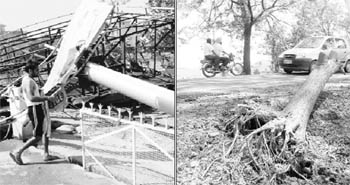 A hoarding near a car repair centre fell and damaged a wall on the Ambala-Chandigarh highway at Bhankarpur village, near Dera Bassi; and an uprooted tree that led to a traffic jam on the Landra-Banur road in Mohali