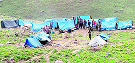 Villagers camp in the Chiplakot meadows in Pithoragarh district to look for yarsagumba.