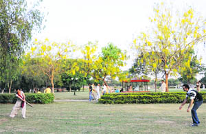 Visitors enjoy an evening at the Atal Park in Karnal.
