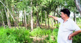 A resident of the lower Gadigarh area points towards the JDA land that was given out to Bhagat Chajju Ram Charitable Trust in Jammu.