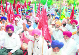 Members of various farmer bodies during a dharna in Amritsar 