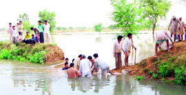 Workers try to plug a breach in the Sheranwali canal near Modia village in Sirsa on Thursday.