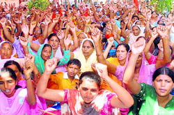 Members of 17 farm labour unions hold a dharna outside the DC office demanding compensation for families of suicide victims and free power connections to the deprived families in Jalandhar