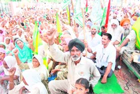 Farmers hold dharna in Bathinda on Friday
