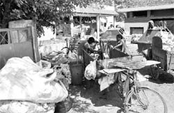 Ragpickers segregate garbage at Sector 21 in Chandigarh