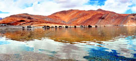 Pangong Lake at Changthang in Ladakh, a protected area which was thrown open to tourists in 1994, has become a major tourist attraction over the years.