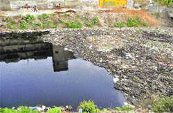 The polluted Buddha Nullah has become an environmental disaster. 