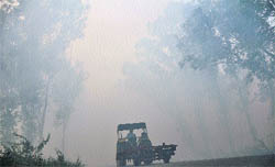 Thick cover of smoke engulfs Ferozepur Road in Ludhiana