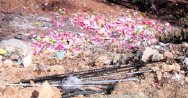 Garbage lying on a hill slope outside the cricket stadium in Dharamsala.