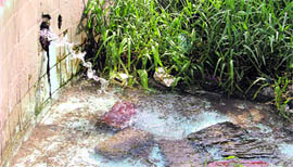 A fountain in dilapidated condition at a park near Chawni Mohalla.