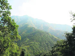 hill bound: A panoramic view of Shimla hills