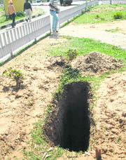 An open trench at the lights of Phase VII in Mohali. 