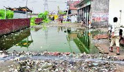 Filthy and unhygenic conditions prevailing at the Dhandharui khurd area