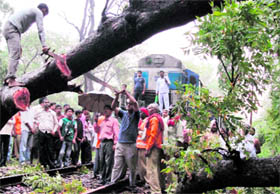 Railway personnel engaged in clearing the way after a tree fell on a railway track at Raiwala between Haridwar and Dehradun