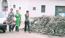 Residents of Shastri Nagar cover their faces on Thursday while walking past a heap of garbage, which has not been removed by the Jammu Municipal Corporation for the past few days