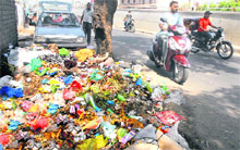 A heap of garbage lying near the newly construced over bridge in Jalandhar.